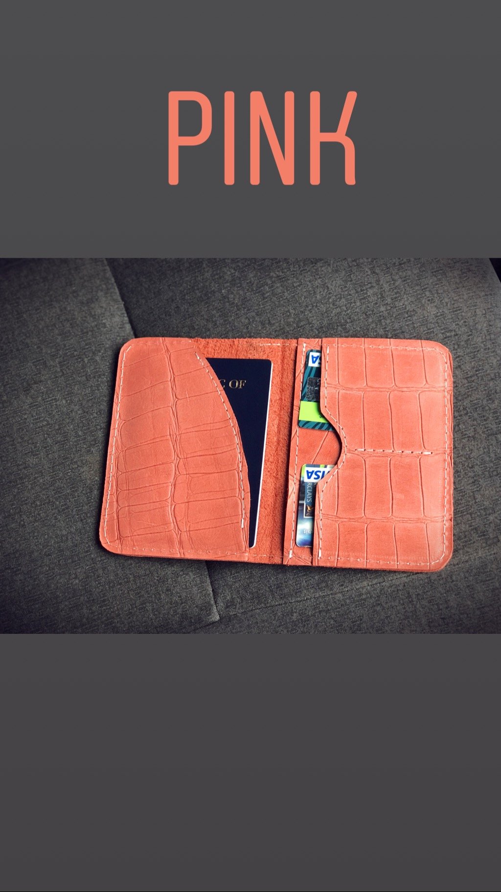 Passport Holder - Image 4